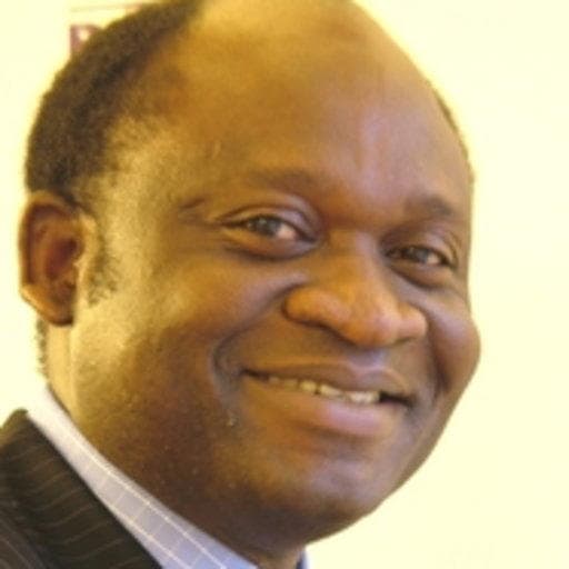 PDP’s shameful disservice to Nigeria, by Olu Fasan