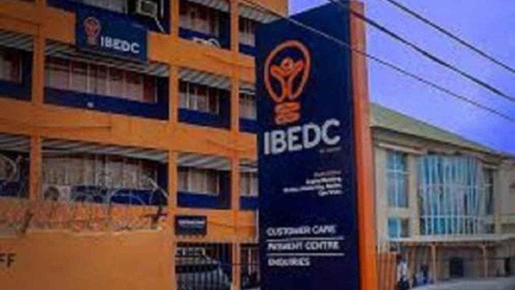IBEDC names Deolu Ijose as new CEO amid power sector shake-up