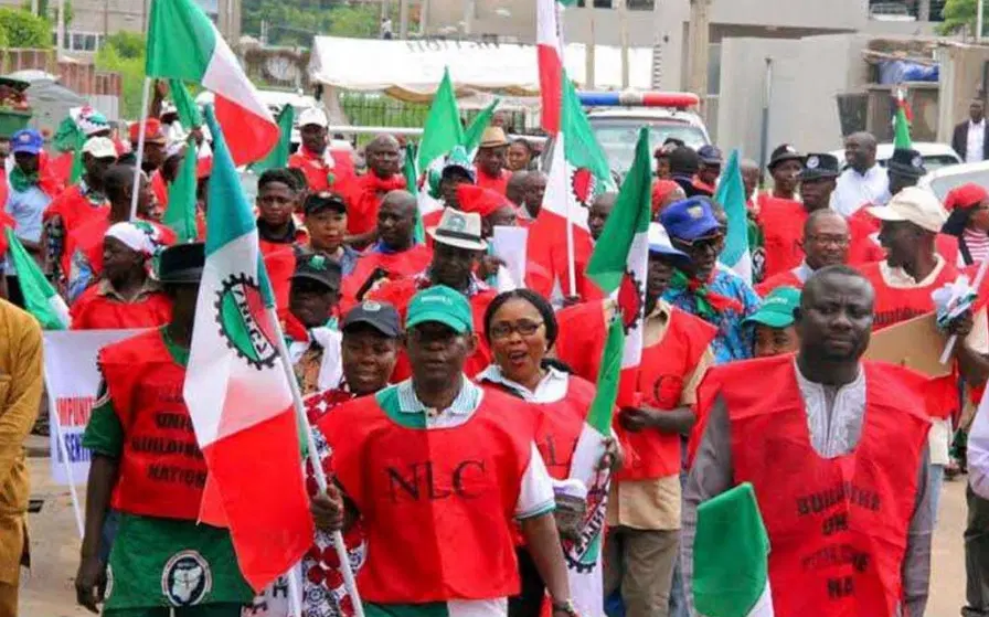 Oil windfall: NLC’s insistence on eating the seed, expecting harvest, metaphor for absurdity – IMPI