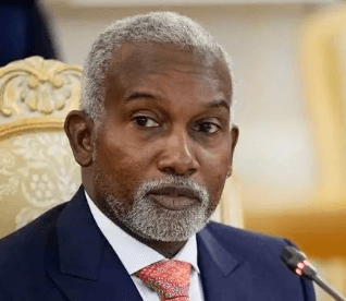 Just in: Tuggar resigns as Foreign Minister