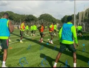 Full list: Ndidi completes Eagles camp as 22 players train