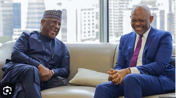 Rabiu, Elumelu strengthen partnership as BUA Foods hits N1.77tn revenue