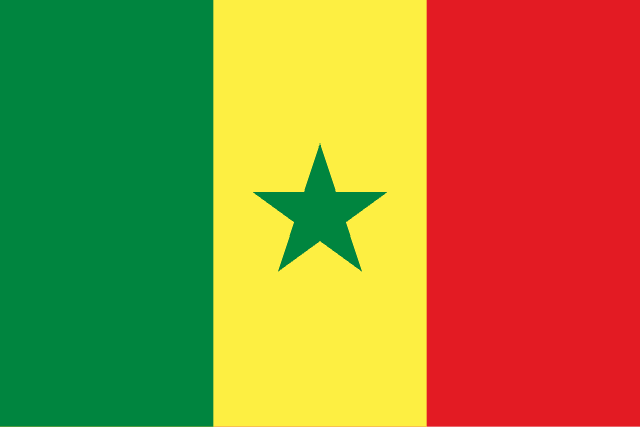 Nigeria restates energy partnerships with Senegal, others