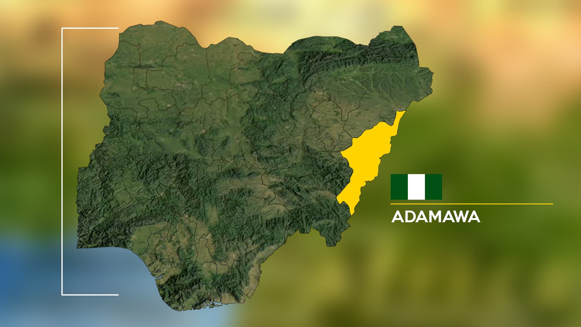 Adamawa women ask PTDF boss to resign