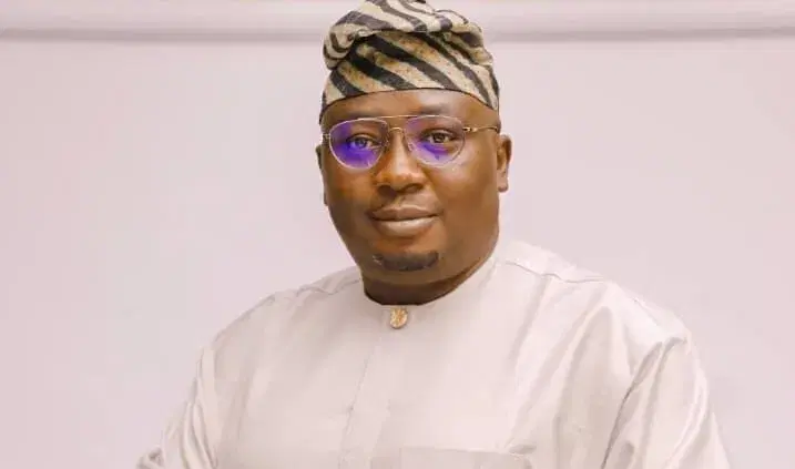 Power sector reforms have attracted $2bn investments – Adelabu