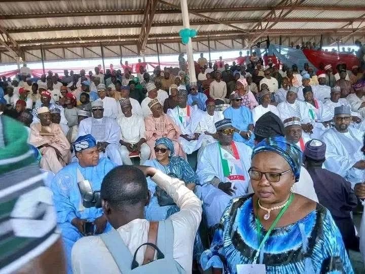 NIGERIA DAILY: What The Law Says About Holding Office While Seeking Election